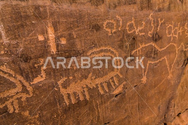نقوش صخرية من العصر الحجري الحديث على صخرة الملكة فيكتوريا بالقرب من الرياض