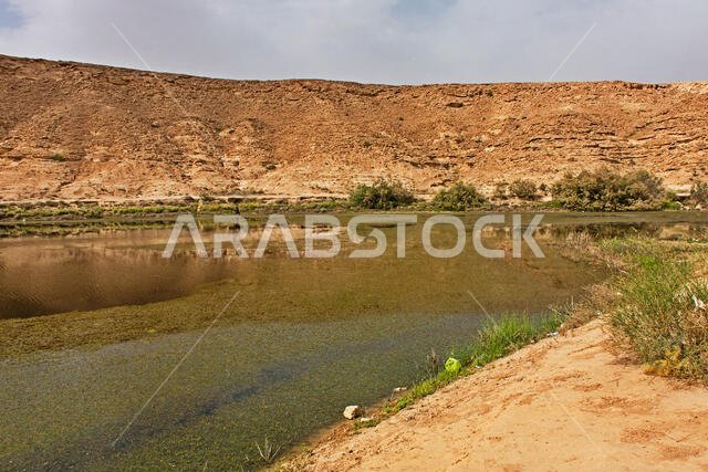 بركة النقب هي بحيرة صغيرة طبيعية من المياه العذبة بالقرب من الرياض
