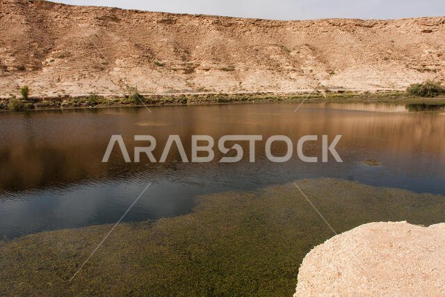 بركة النقب هي بحيرة صغيرة طبيعية من المياه العذبة بالقرب من الرياض