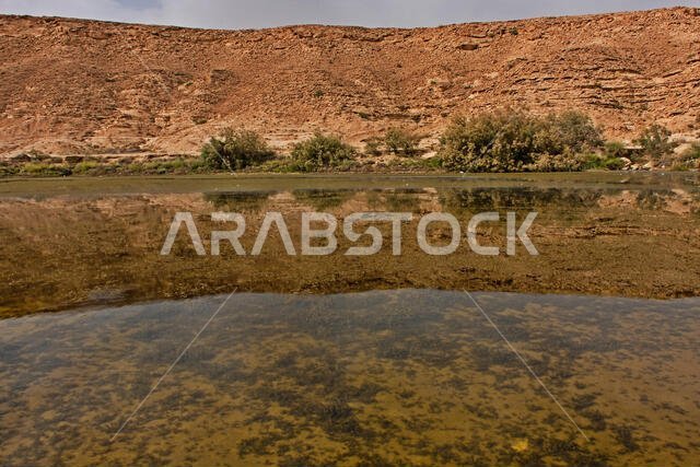 بركة النقب هي بحيرة صغيرة طبيعية من المياه العذبة بالقرب من الرياض