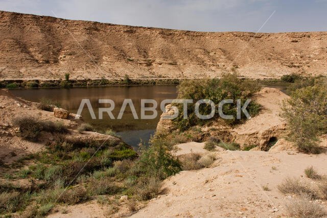 بركة النقب هي بحيرة صغيرة طبيعية من المياه العذبة بالقرب من الرياض