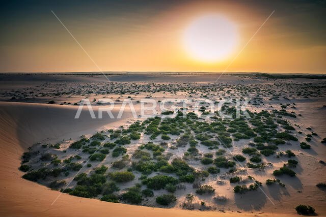 منظر طبيعي صحراوي خلاب في الدمام، المملكة العربية السعودية