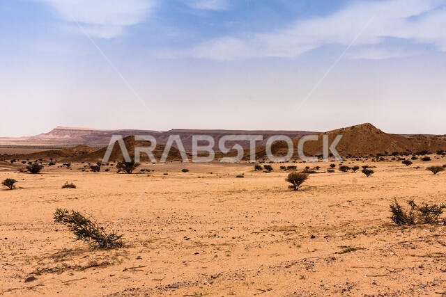 منظر صحراوي جنوب غرب الرياض؛ مزيج من السهول والتلال الصخرية، وهو نمط شائع في منطقة الرياض.