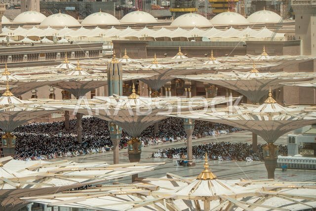 خلال صلاة الجمعة، يصلي آلاف الحجاج المسلمين في المسجد النبوي في وسط المدينة المنورة، المملكة العربية السعودية