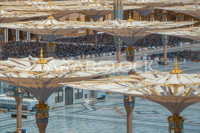 خلال صلاة الجمعة، يصلي آلاف الحجاج المسلمين في المسجد النبوي في وسط المدينة المنورة، المملكة العربية السعودية