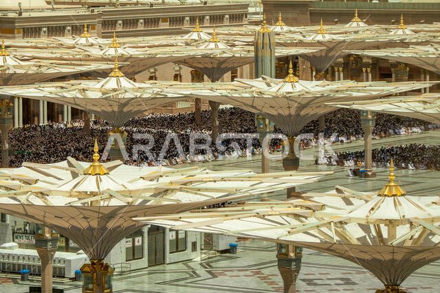خلال صلاة الجمعة، يصلي آلاف الحجاج المسلمين في المسجد النبوي في قلب المدينة المنورة