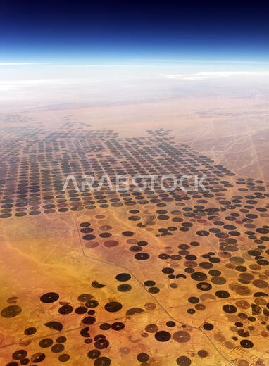 صورة جوية لحقول زراعية دائرية في الصحراء العربية في الإمارات العربية المتحدة.