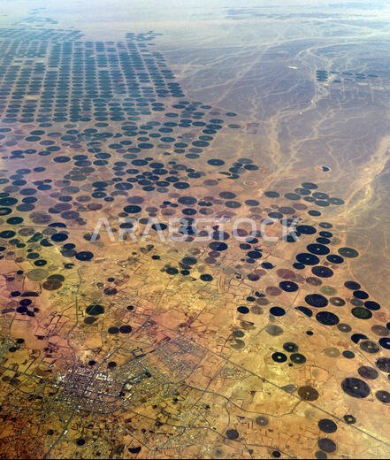 Aerial view of circular agriculture fields in the Arabian desert in the UAE.