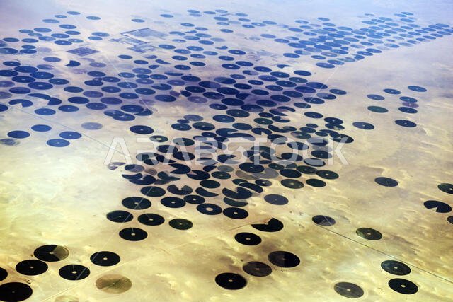 صورة جوية لحقول زراعية دائرية في الصحراء العربية في الإمارات العربية المتحدة.