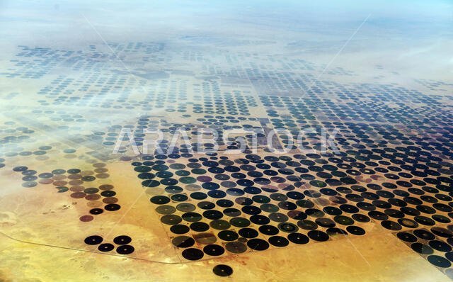 صورة جوية لحقول زراعية دائرية في الصحراء العربية في الإمارات العربية المتحدة.