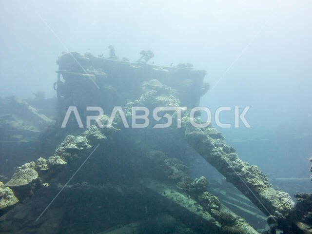 Wreck Diving in the Red sea
