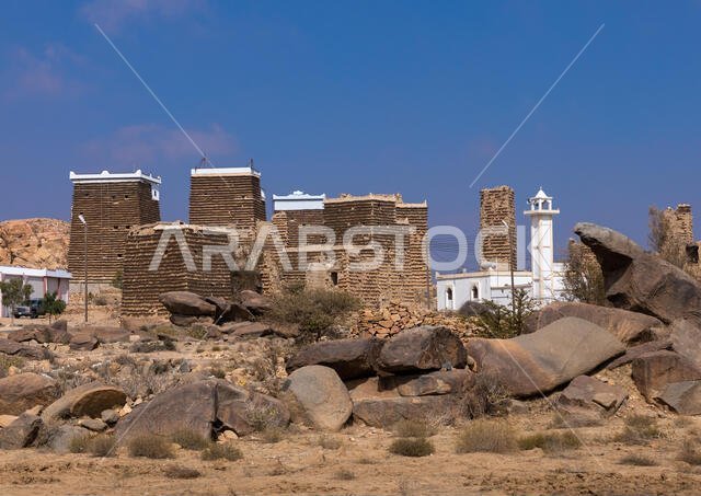 Stone and mud houses with slates in a village, Asir province, Sarat Abidah, Saudi Arabia