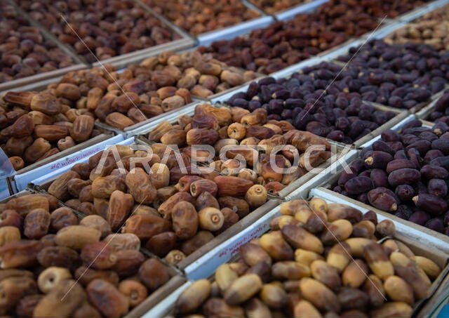 Dates for sale in a market, Asir province, Muhayil, Saudi Arabia