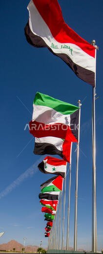 Arab League flags