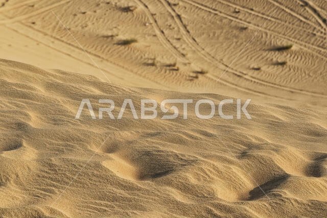 صورة فوتوغرافية مفصلة لصحراء أبو ظبي تظهر آثار إطارات السيارات على الرمال.