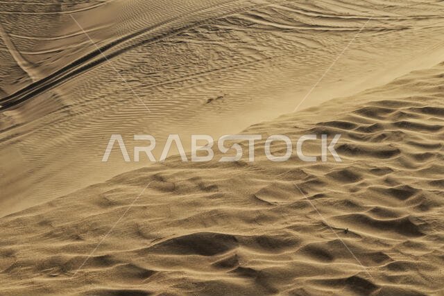 صورة فوتوغرافية مفصلة لصحراء أبو ظبي تظهر آثار إطارات السيارات على الرمال.