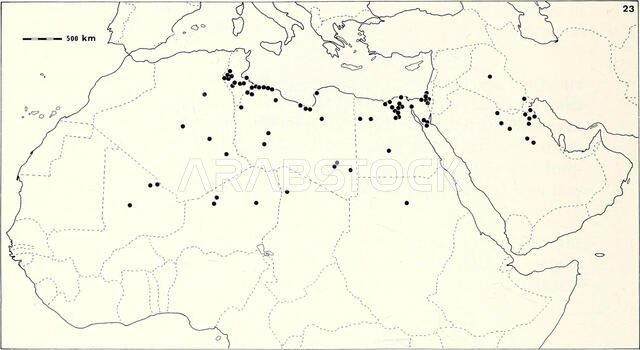 . Bonner zoologische Monographien. Zoology. 114. Map 23. Distribution of A. scutellatus. submaxillaries in contact. Dorsals small, flat, granular, and weakly keeled in relatively high number. 14 oblique longitudinal rows of ventrals. Fingers with four series of scales. Intense pectination on fourth toe. Reticulate color pattern. Distribution This species occurs in southern Israel, Egypt, Sudan, Libya, Chad, southern Tunisia, southeastern Algeria, Niger, Mali, northern Saudi Arabia, Kuwait, and I