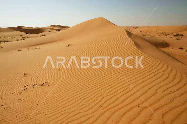 A dune landscape in the Rub al Khali or Empty Quarter. Straddling Oman, Saudi Arabia, the UAE and Yemen, this is the largest sand desert in the world