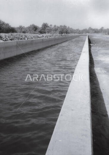 Historical images of a large irrigation canal in a large oasis in Hofuf, Saudi Arabia (in the area of Al-Ahsa / Al-Hasa) in 1968.