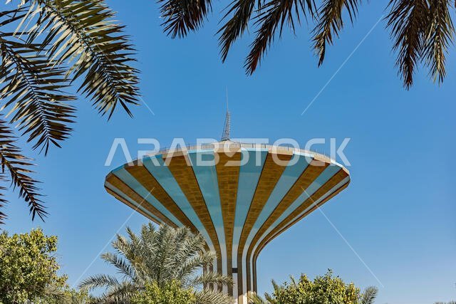 A Riyadh Water Tower