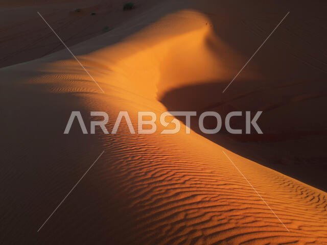 Dune with bright yellow sand, illuminated by the sun, on a dark background.