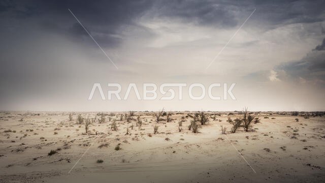 كاميرا أوليمبوس الرقمية