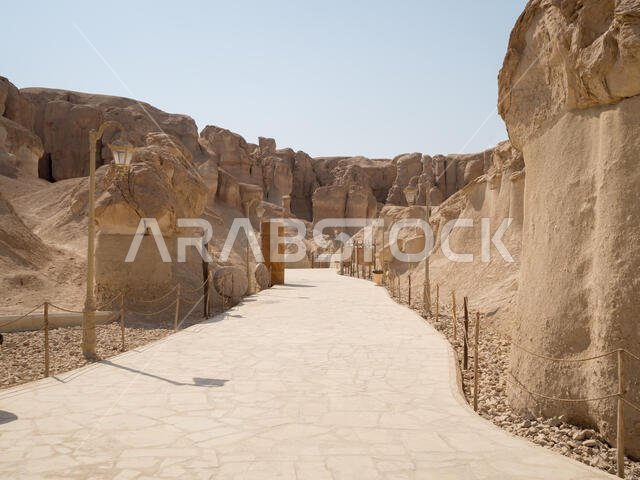 كاميرا أوليمبوس الرقمية