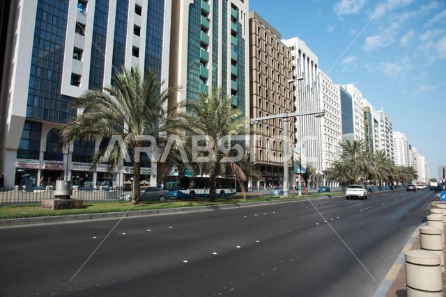 شارع عريض بأشجار النخيل، أبو ظبي، الإمارات العربية المتحدة.