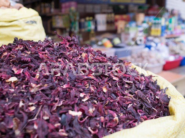 كاميرا أوليمبوس الرقمية