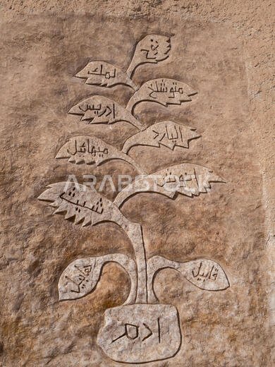 كاميرا أوليمبوس الرقمية