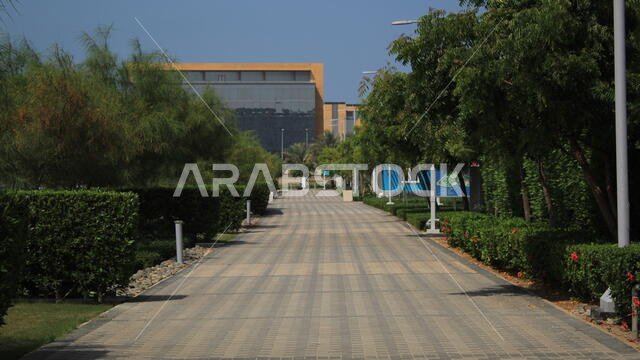ممر حجري محاط بالأشجار والشجيرات الطبيعية الخضراء في تصميم مدينة حديثة مستدامة مع مبانٍ زجاجية حديثة وأعمدة إنارة.