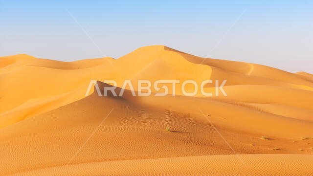 A dune landscape in the Rub al Khali or Empty Quarter. Straddling Oman, Saudi Arabia, the UAE and Yemen, this is the largest sand desert in the world.