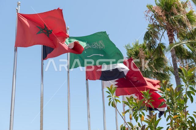 أعلام منطقة الشرق الأوسط وشمال أفريقيا على سلسلة من أعمدة الأعلام، بما في ذلك الأعلام الوطنية للمغرب والكويت والمملكة العربية السعودية والإمارات العربية المتحدة. 