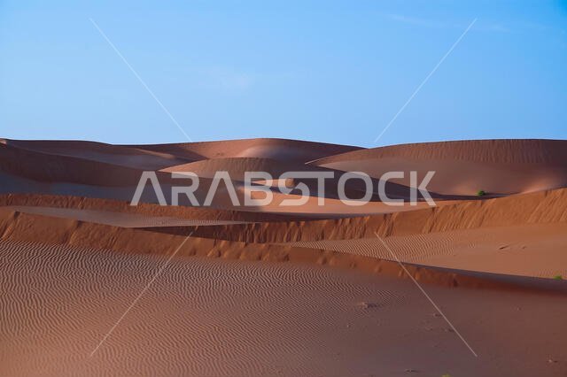 منظر طبيعي للكثبان الرملية في صحراء الربع الخالي في شبه الجزيرة العربية منظر طبيعي للكثبان الرملية في صحراء الربع الخالي في شبه الجزيرة العربية