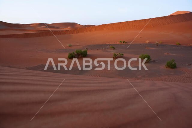 منظر طبيعي للكثبان الرملية في صحراء الربع الخالي في شبه الجزيرة العربية منظر طبيعي للكثبان الرملية في صحراء الربع الخالي في شبه الجزيرة العربية