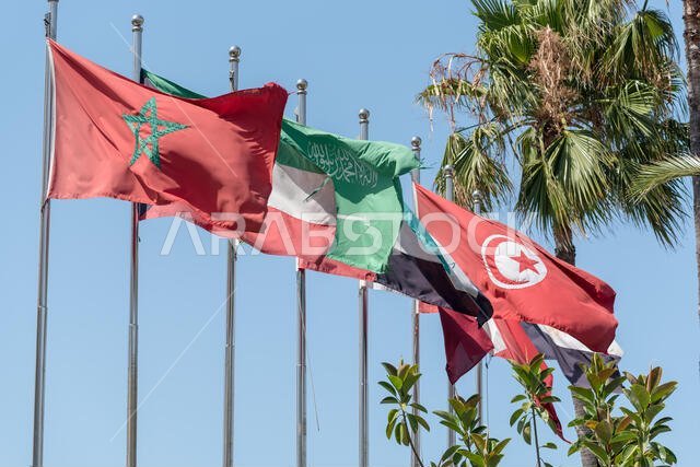Flags of MENA (Middle East and North Africa on a series of flagpoles including national flags of Morocco, Kuwait, Saudi Arabia, United Arab Emirates, 