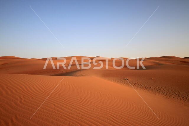 alone in the desert alone in the desert