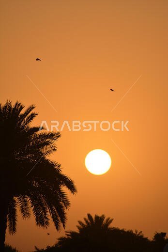 هذا شروق الشمس في الرياض