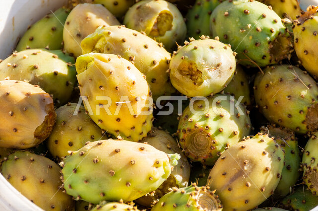 صورة مقربة لفاكهة التين الشوكي في سوق الفواكه، فاكهة مغذية ومفيدة، البرشومي، فاكهة الصيف اللذيذة، البرشومي الشوكي، فاكهه صيفية، فاكهة الصبار اللذيذة والصحية