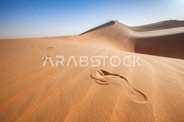 صورة جمالية للمناطق صحراوية ، الكثبان الرملية ، اماكن سياحية ، الطبيعة الصحراوية ، صحراء شبه الجزيرة العربية ، الرمال الذهبية ، البيئة الصحراوية ، تلال رملية