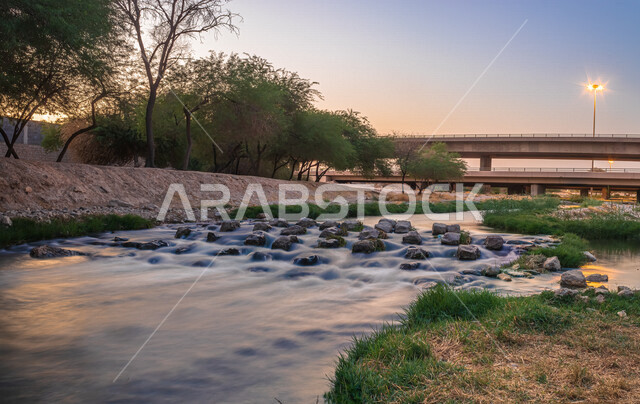وادي حنيفة بمدينة الرياض في المملكة العربية السعودية، مجرى المياه، سريان المياه، الاشجار والنباتات الخضراء، مناظر طبيعية خلابة، حدائق ترفيهية، منتزه بحيرة المصانع، كورنيش الصحراء، منتزه طبيعي، السياحة في السعودية