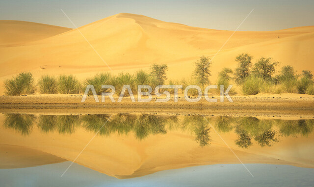 إنعكاس صورة الكثبان الرمليه على المياه في وسط الصحراء, المناطق الصحراوية ، الكثبان الرملية ، اماكن سياحية ، الطبيعة الصحراوية ، صحراء شبه الجزيرة العربية ، الرمال الذهبية ، البيئة الصحراوية ، تلال رملية