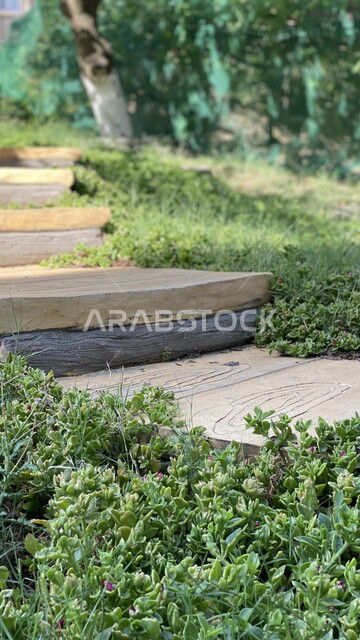 ممر خشبي في احد الحدائق العامة، الأشجار والنباتات الخضراء، جمال الحدائق العامة، خلفية الطبيعة