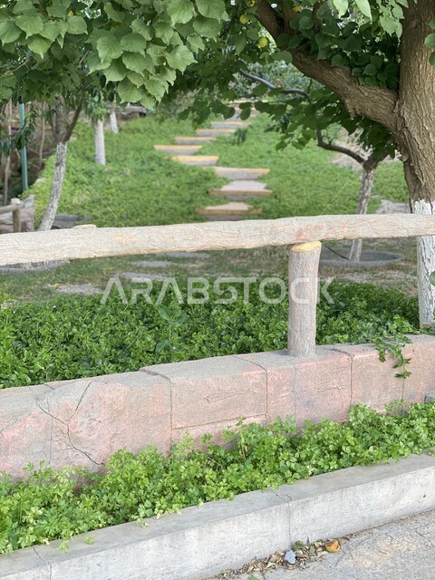 الأشجار والنباتات الخضراء، جمال الطبيعة، زراعة الاشجار والنباتات، اراضي زراعية، خلفية الطبيعة