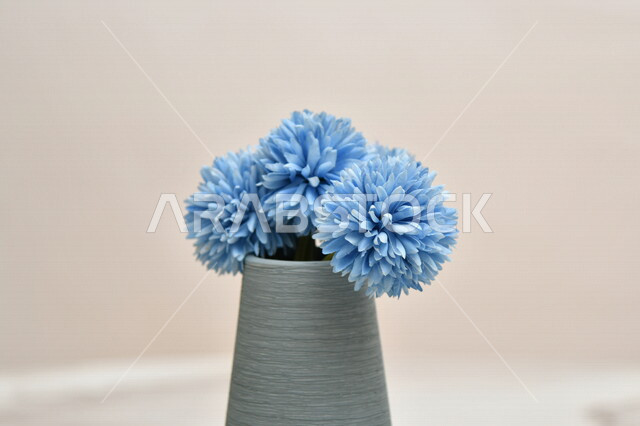 صورة مقربة لوعاء بداخله زهور الزينة، وعاء رمادي، ورود الزينة، خلفية بيضاء