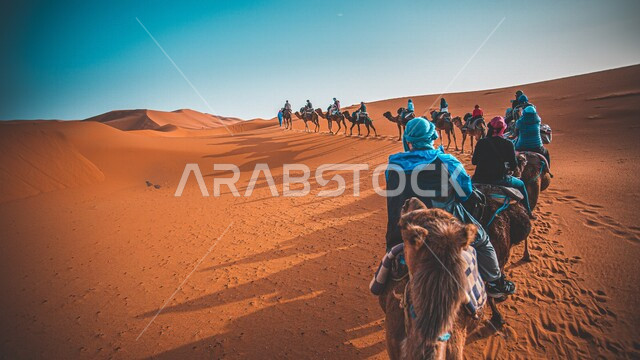 صورة من الخلف لمجموعة من الاشخاص يمتطون الجمال في وسط الصحراء، الكثبان الرملية، الرمال الذهبية، التضاريس الصحراوية، جمال الطبيعة الصحراوية، حياة البدو، البدو في الصحراء، اماكن سياحية