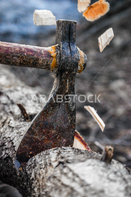 صورة مقربة لتقطيع الأشجار باسخدام الفأس، تقطيع اخشاب الاشجار، مزرعة ومزارعين، شعبيات