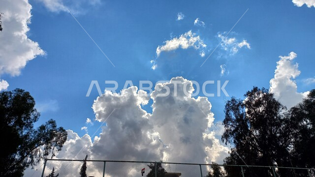 جمال السماء الملبدة بالغيوم، الاشجار والنباتات الخضراء، مناظر طبيعية خلابة، خلفية الطبيعة