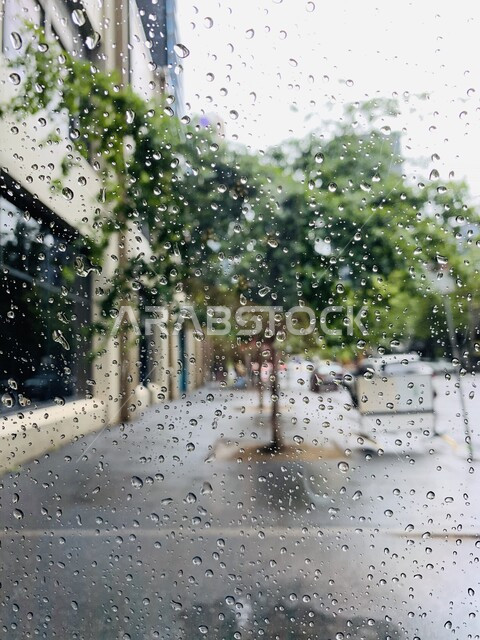 الاشجار والنباتات الخضراء اثناء هطول الامطار، قطرات المياه على العدسة، الطبيعة الخلابة مع قطرات المطر، الاجواء الشتوية، خلفية الطبيعة