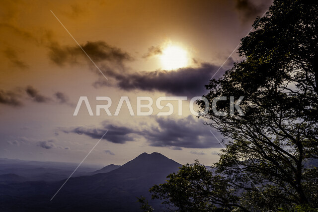 Creative picture of sunset landscape in the sky, natural green trees, nature background, beautiful sunset sky scenery